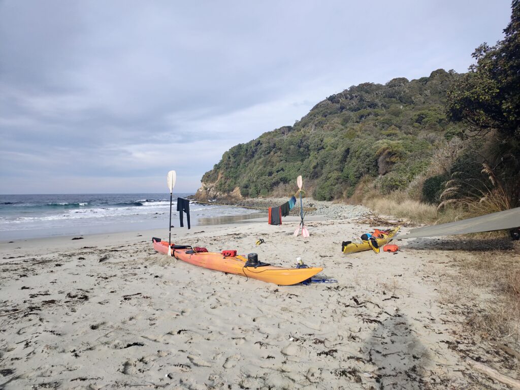 free stewart island sea kayaking guide